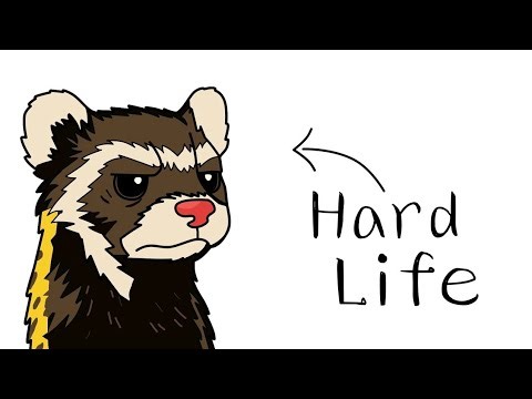 Why It Sucks to be Born as a Polecat