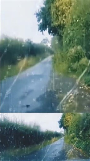 Rain Sounds for Deep Sleep - Countryside ASMR