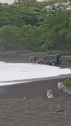 Pasó también en Marbella el pasado fin de semana 🥴 #KookOfTheDay #KOTD #Kooks #Kook | Surfing Republica