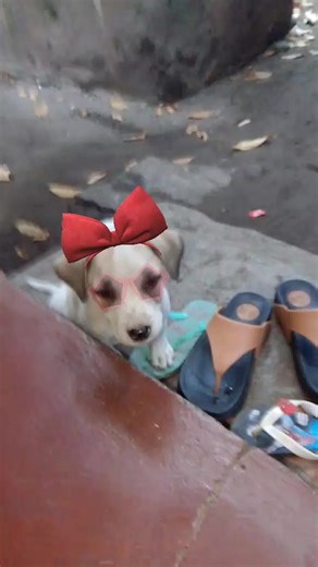 Jie Anacap (@jieanacap)’s videos with Gotchye - Ghost Boo 👻