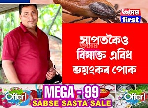 5.3K views · 42 reactions | সাপতকৈও বিষাক্ত এবিধ ভয়ংকৰ পোকপোকৰ দংশনত মৃত্যু এজন লোকৰ! | Assam First | Facebook