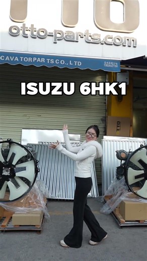 Isuzu Engine for Mining Fails?