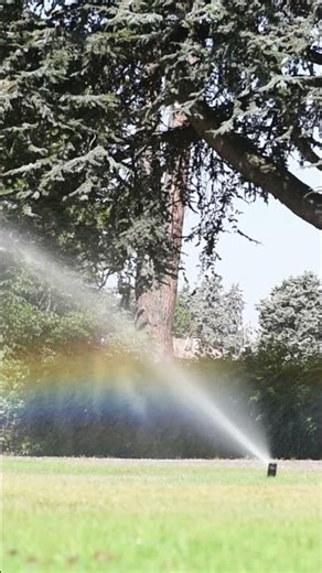Book your Spring Irrigation Start-Up today