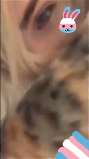 Ella Hollywood 🔥 The Lovely Transgender Girl #shorts