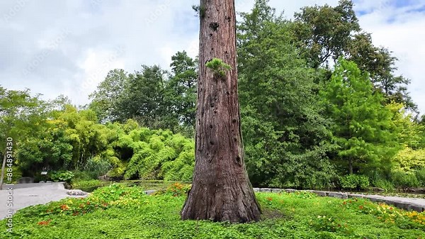 Island Mainau lake constance, Insel Mainau, island Mainau in germany on Bodensee