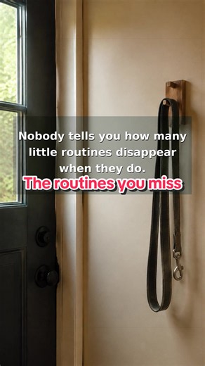 The Routines You Miss After Losing a Pet