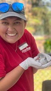 From ZooTeen to Zookeeper; meet Sam! Another member of our amazing Birds team with a soft spot for our Abyssinian ground hornbills. #NationalZookeeperWeek | Phoenix Zoo