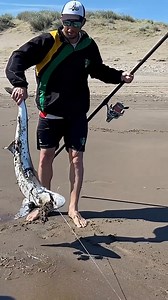 6.7K views · 47 reactions | A perfect day catching dogfish on the shores of Pehuen. | Hoodfishing_entertainment | Facebook