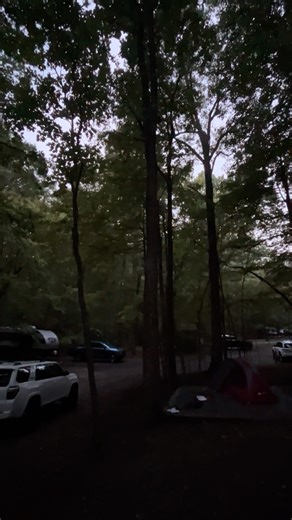 Not bad way to kick off the weekend! That French press is talking to me 😂