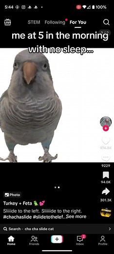 Max Go (@maxgo.123)’s videos with original sound - Max Go