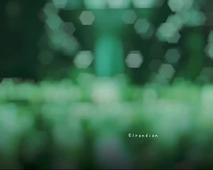 Fel ✝︎ on TikTok