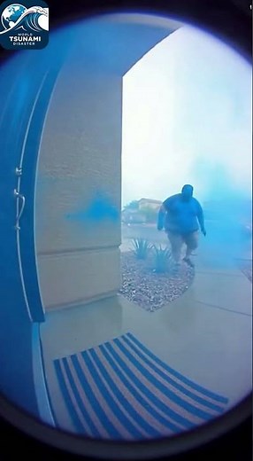 Exploding Package Catches Thief (Caught on Ring Camera)