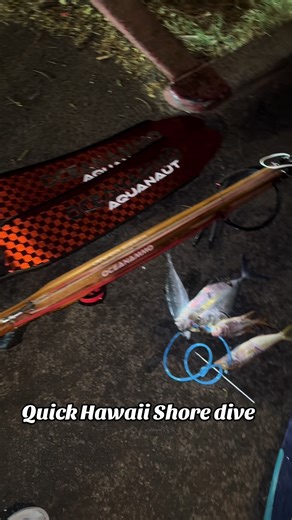 Quick shore dive spearfishing in Honolulu. Went out with seth and managed some solid fish. @oceanammo #spearfishing #hawaii #fish #honolulu #fyp