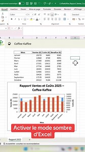 20K views · 184 reactions | Comment activer le mode sombre (Dark Mode) pour tous vos fichiers Excels ! Excel enfin en mode sombre !  Dans notre nouvelle vidéo, nous vous montrons étape par étape comment activer le mode sombre dans Excel. Le mode sombre est parfait pour de longues sessions de travail ! —- #excel #microsoft #modesombre #darkmode #astuceexcel #apprendreexcel #apprendreexcel_de_a_à_z | Excel Pour Débutant | Facebook