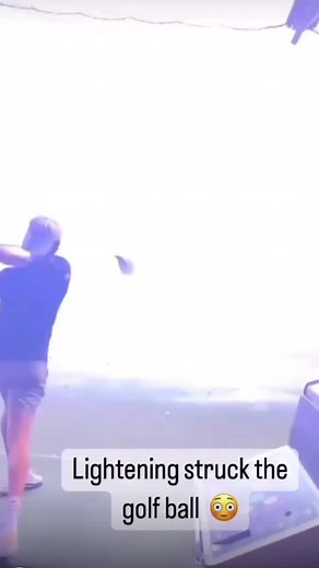 Trunk Monkey on TikTok