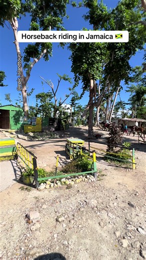 Horseback riding in Jamaica 🇯🇲 Create Epic Memories. 🌴 One Love ❤💛💚 🌴 @epic_islandtours Customize your Jamaica 🇯🇲 Tours/ Excursions/ Private Airport Transfers with us Call/ WhatsApp : 1-876-209-7515 for more.... Email us @ : epicislandtours@gmail.com ✅Weed Farm Tour ✅Bamboo Rafting and limestone massage ✅ JetCar ✅Jetski ✅ Blue Hole ✅ Dunn’s River Falls ✅ Parasailing ✅ ATV ✅ Horsebackriding in the ocean ✅ Sea Tubing ✅ Catamaran / Booze Cruise ✅ Island Swing   lots more....... #jamaica #fy