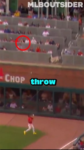 The best throw in baseball history #mlblb #throw