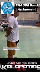 PHA South Race Band Assignment.🙂👍🏻 #reggiecruzloft #kalapatidsfeeds #tolome5in1 #pha #fbreelsfypシ゚viralfbreelsfypシ゚viral #noanimalswereharmedinthisvideo | Reggie Cruz Loft & Aviary