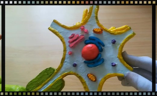 How to make Neuron Model | Handmade Neuron Model crafting #biology #craft #anatomy #Howto #Medical #Foryou credit: Khadija Fazal Karim Follow us to watch more video 📹