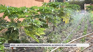 Niger: un système d'irrigation expérimental au service de l'agriculture | Medi1TV Afrique
