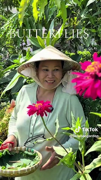 Majestic Butterflies in the Garden