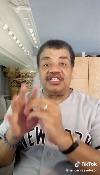 What Came First: Chicken or Egg? Explained