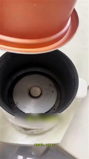 कुकर में बिल्ली और चूहे 😱|| #cartoon #shortvideo