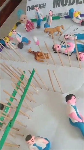 Bobo Doll Experiment | Process & Observation Explained