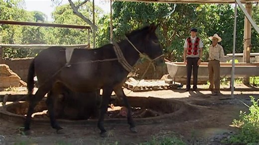 Destilando Amor | Capítulo 128