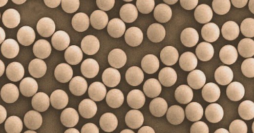 意外と知られていない!? Dynabeads (ダイナビーズ) で何ができるかまとめてみました！｜特集・クローズアップ | ベリタス