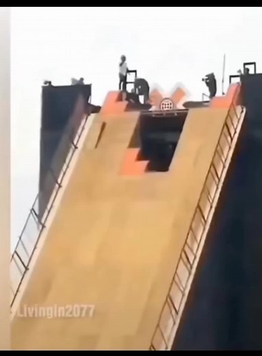 Living in 2077 Cat Video | Funny Memes Compilation