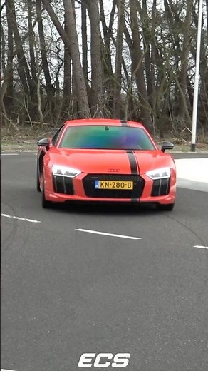 QuickSilver R8 🔥 #audi #r8 #audir8 #quicksilver #cars