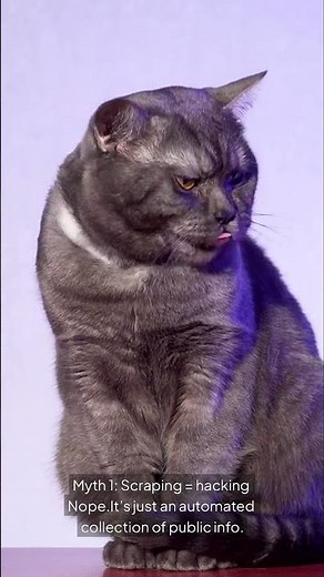 What Is Data Scraping Really Busting the Myths