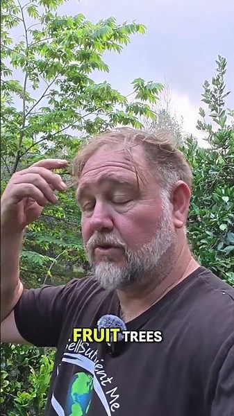 Unlock Your Garden Fruit Trees That THRIVE in Clay Soil!
