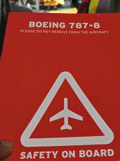 Boeing 787-8 Dreamliner Cockpit View and Landing Gear