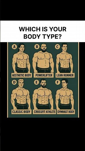 Every Gym Body Type Explained ✅