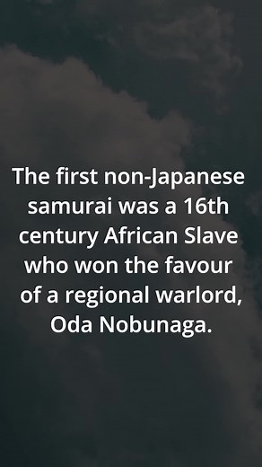 Interesting Facts All Day on TikTok