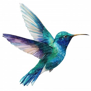 Hummingbird PNG Clipart, 12x Watercolor Birds in Flight Clip Art Set, Printable Clip Art, Transparent PNG, Digital Download, Junk Journal - Etsy