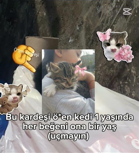 Lütfen arka pilana gülmeyin arka plânda ö*len kardeşi var. 😞😭