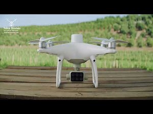 Introducing DJI Phantom 4 Multispectral NDVI