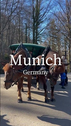 アルプスの絶景と歴史の街！ドイツ・ミュンヘンの活気とロマンチックな城を巡る旅｜トラベルスタンダードジャパン