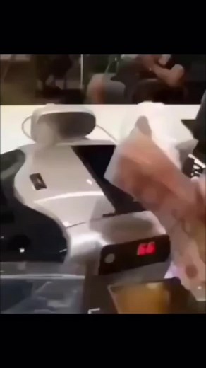 Morfeu Cats no TikTok