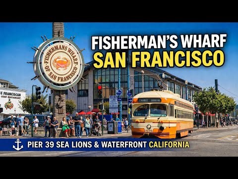 FISHERMAN’S WHARF SAN FRANCISCO ⚓️ Pier 39 Sea Lions & Waterfront California