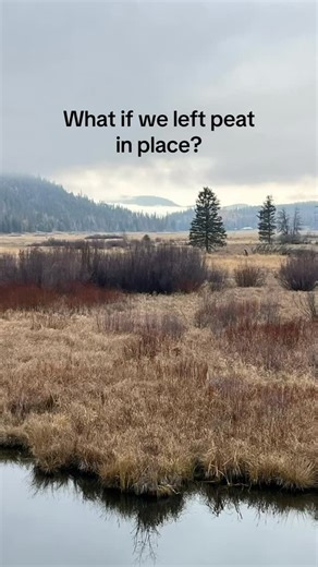 1.3K views · 42 reactions | There are so many good reasons to leave peat in the wetlands where it forms, and so many great alternatives for growing plants without peat. Let’s protect our peat wetlands while we still can.  #protect #peatland #peatfree | Beaver Food Forest | Facebook