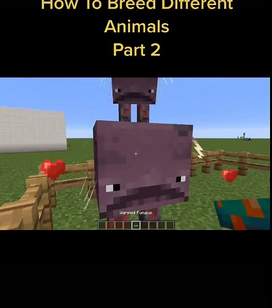 Minecraft Breeding! Part 2! #minecrafttutorial #minecraftworld #minecraft #minecrafter #foryou #fyp #minecrafttipps #minecraftsimpledesigns