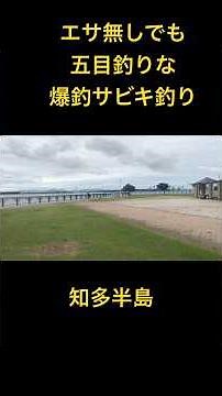 夕方は爆釣なエサなしサビキ釣りでも五目釣り 知多半島 衣浦湾#サビキ釣り#知多半島#豆アジ