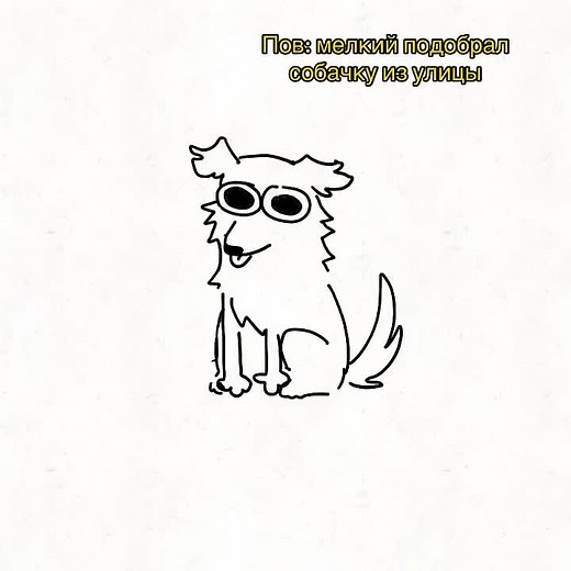 Он назвал ее в честь машины /тг: Любим баурсаки #fyp #щитпост