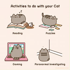 84K views · 7.3K reactions |  bit.ly/2AkJ578 | Pusheen | Facebook