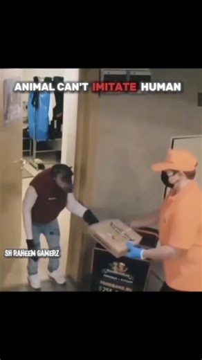ANIMAL CAN'T IMITATE HUMAN #cat #trolledit #tranding #viral #shorts