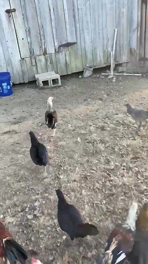 She’s probably a keeper. | David Mays